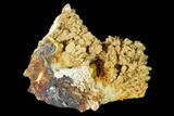 Pyrite Crystals on a Barite Crystal Cluster - Lubin Mine, Poland #148326-1